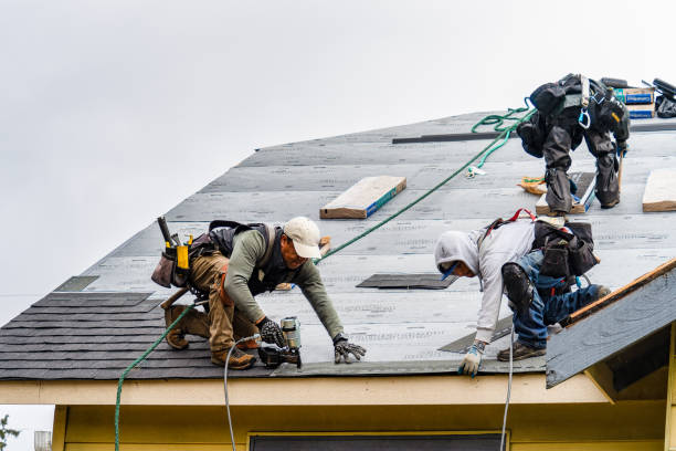 Professional Storm Damage Roof Repair technician working in Quinlan, TX